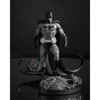 Batman Black & White By Bjorn Barends DC Direct