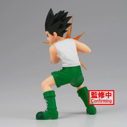 Gon Freecss HUNTER X HUNTER Vibration Stars