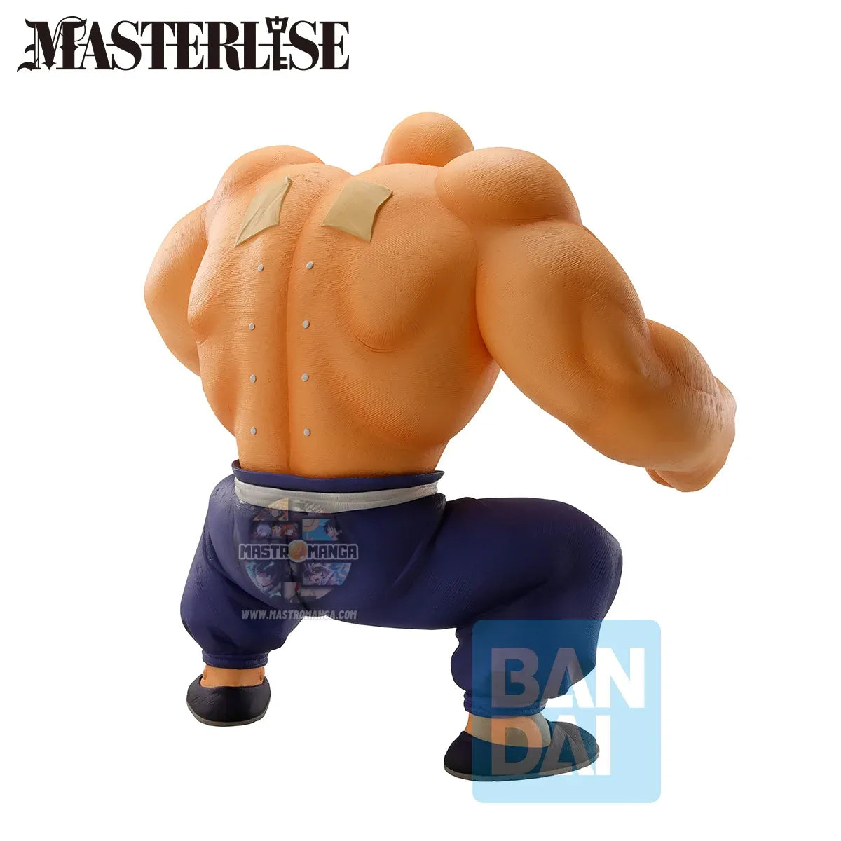 Master Roshi Dragon Ball Training Section Ichibansho MASTERLISE