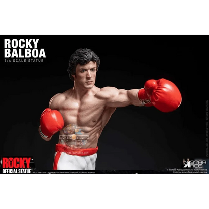 Rocky Balboa Epic Fight