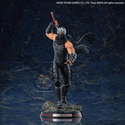 Ryu Hayabusa Ninja Gaiden