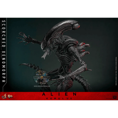 Scorched Xenomorph Alien: Romulus Movie Masterpiece