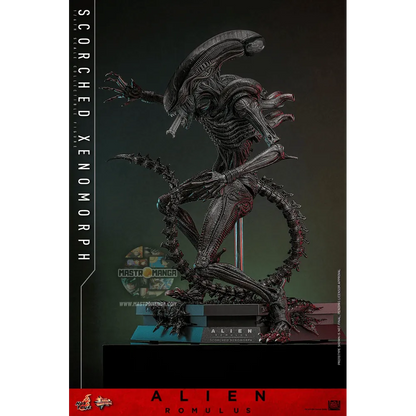 Scorched Xenomorph Alien: Romulus Movie Masterpiece