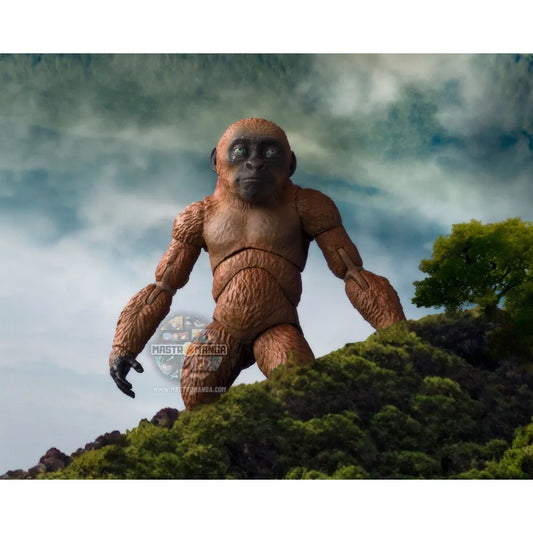 Suko & Mothra Godzilla x Kong: The New Empire S.H.MonsterArts