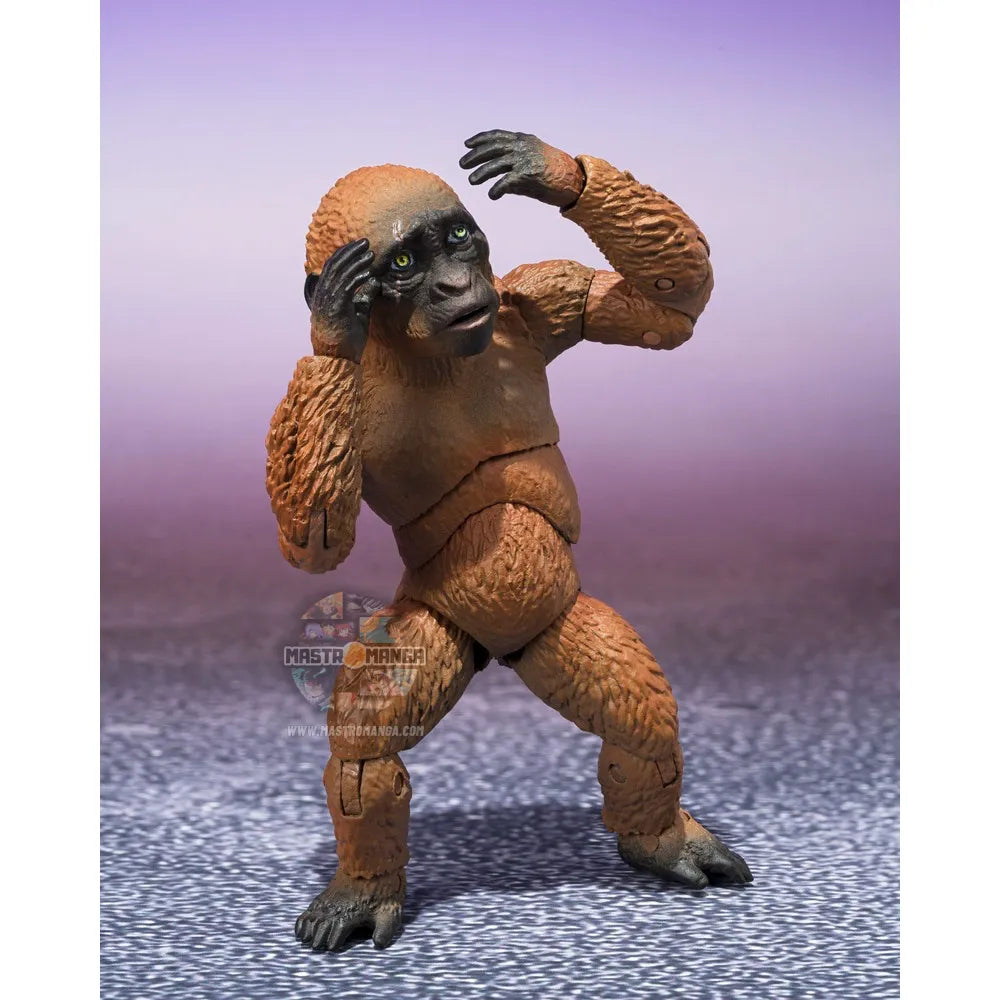 Suko & Mothra Godzilla x Kong: The New Empire S.H.MonsterArts