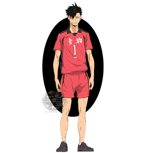 Tetsuro Kuroo Haikyu!! Battle At The Garbage Dump 2 Ichibansho