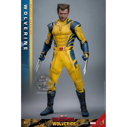 Wolverine Deluxe Version Deadpool & Wolverine Movie Masterpiece