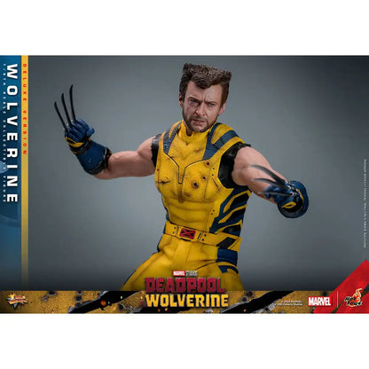 Wolverine Deluxe Version Deadpool & Wolverine Movie Masterpiece