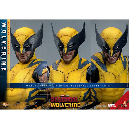 Wolverine Deluxe Version Deadpool & Wolverine Movie Masterpiece