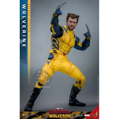 Wolverine Deluxe Version Deadpool & Wolverine Movie Masterpiece