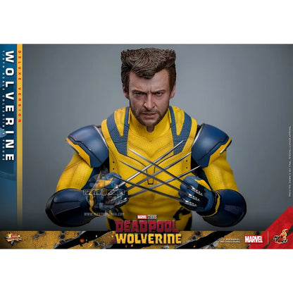 Wolverine Deluxe Version Deadpool & Wolverine Movie Masterpiece