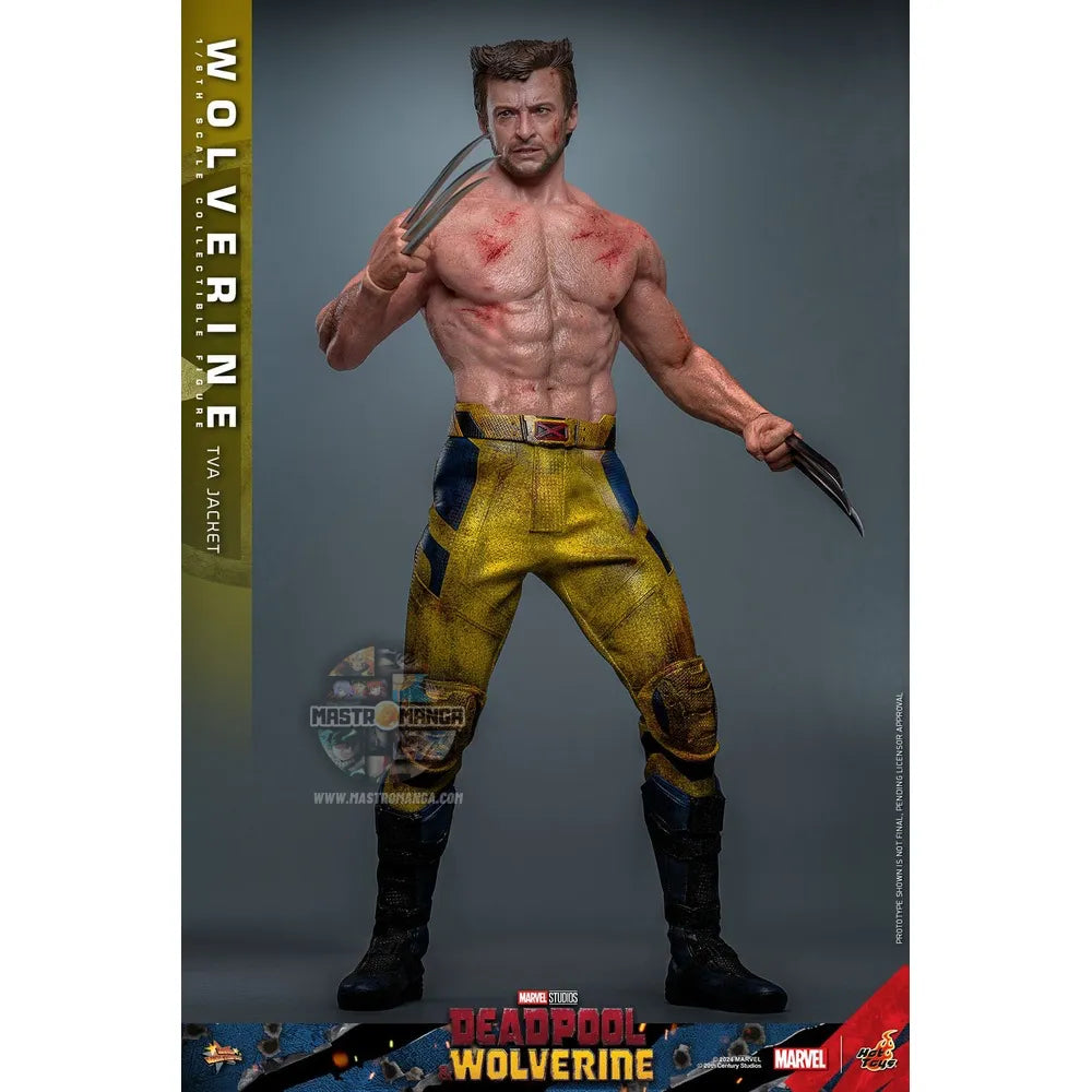 Wolverine (TVA Jacket Version) Deadpool & Wolverine Movie Masterpiece