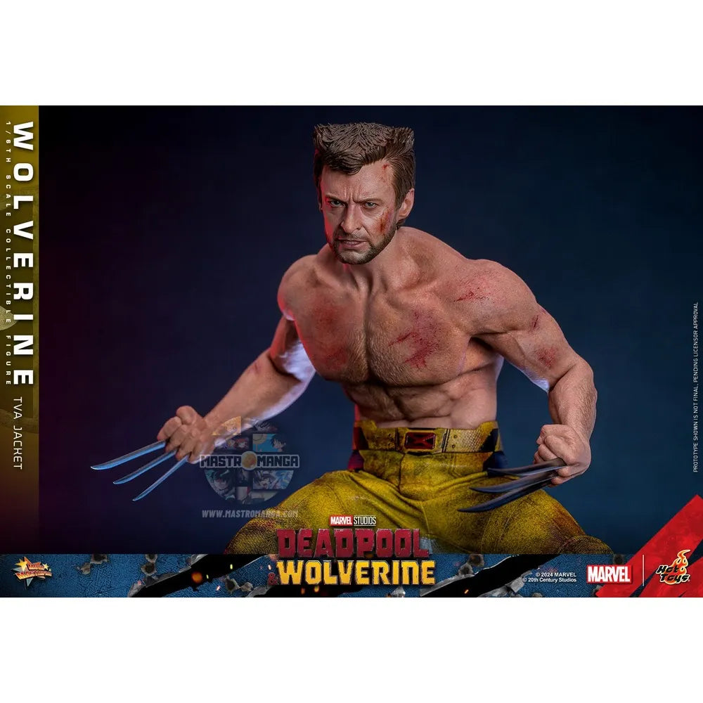 Wolverine (TVA Jacket Version) Deadpool & Wolverine Movie Masterpiece