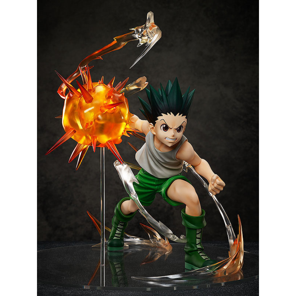 Gon Freecss HUNTER X HUNTER Freeing