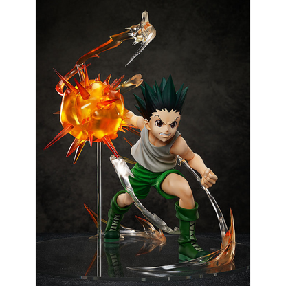 Gon Freecss HUNTER X HUNTER Freeing