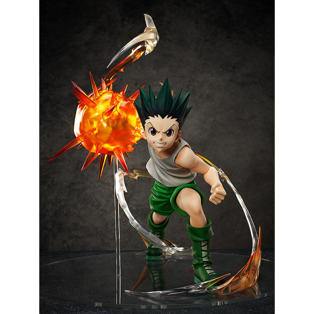 Gon Freecss HUNTER X HUNTER Freeing